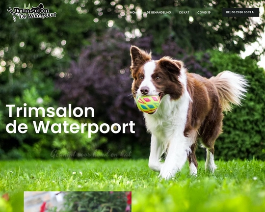 Trimsalon de Waterpoort Sneek Logo